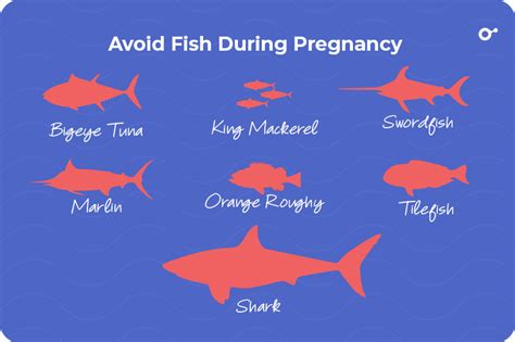 Fish to Avoid During Pregnancy