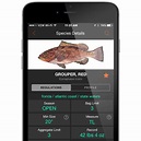 FishVerify app