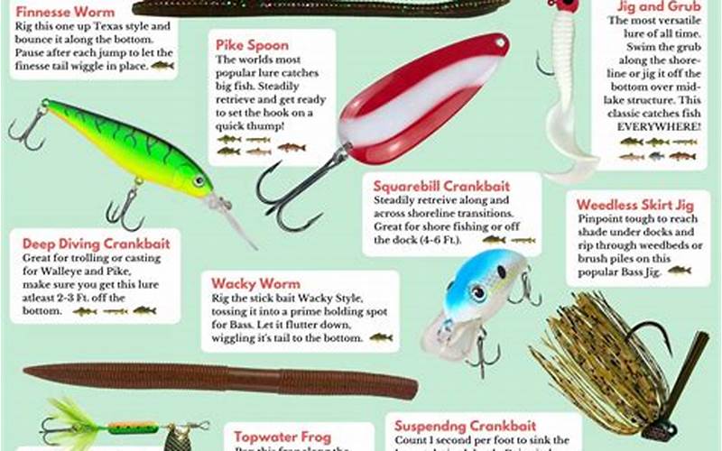 Fishing Bait Types
