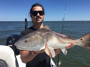 Fishing Bait Charleston SC