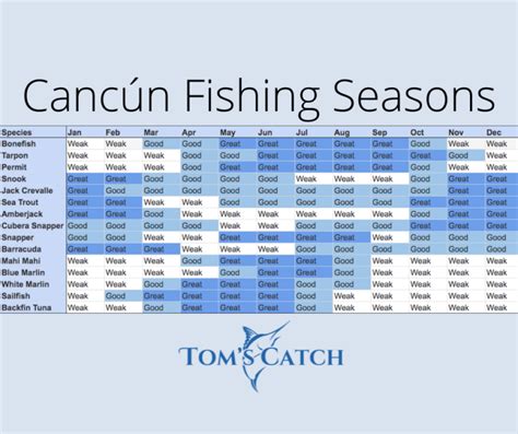 Fishing Calendar Cancun Mexico