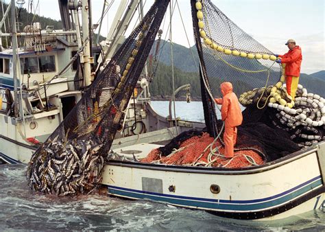 Download Fishing Commercial Use