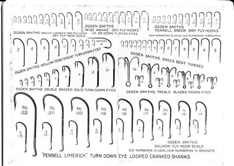 Fishing Hook Size Chart In Mm