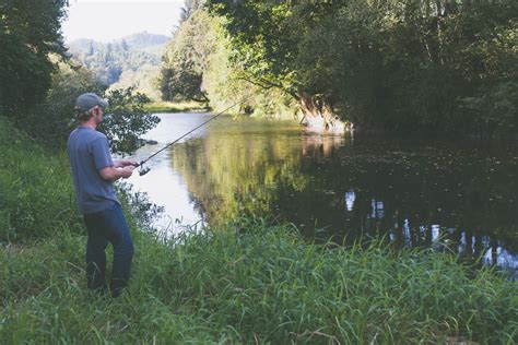Download Fishing Images