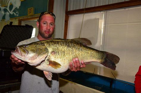 Fishing Lures for Lake Ray Roberts