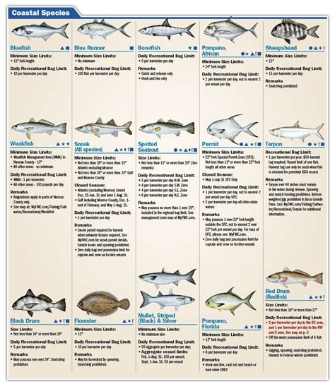 Fishing Regulations in Destin, Florida