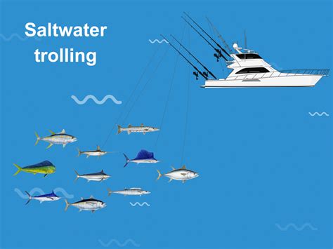 Fishing Techniques Trolling