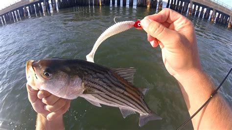 Fishing Tips Ocean City MD