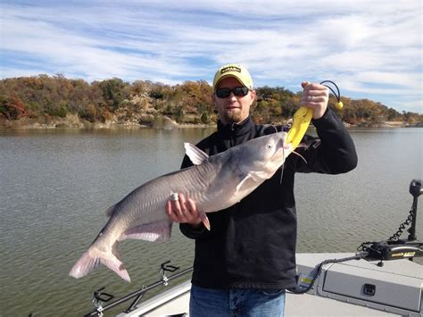 Fishing for Catfish Events in Texas