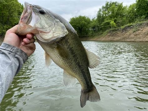 Fishing in Oklahoma