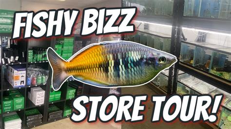 Fishy Forecast Stay Informed on Local Fish Store Events and Promotions