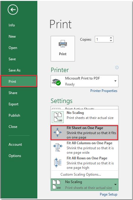 Fit To Printable Area