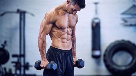 Fitness And Muscle