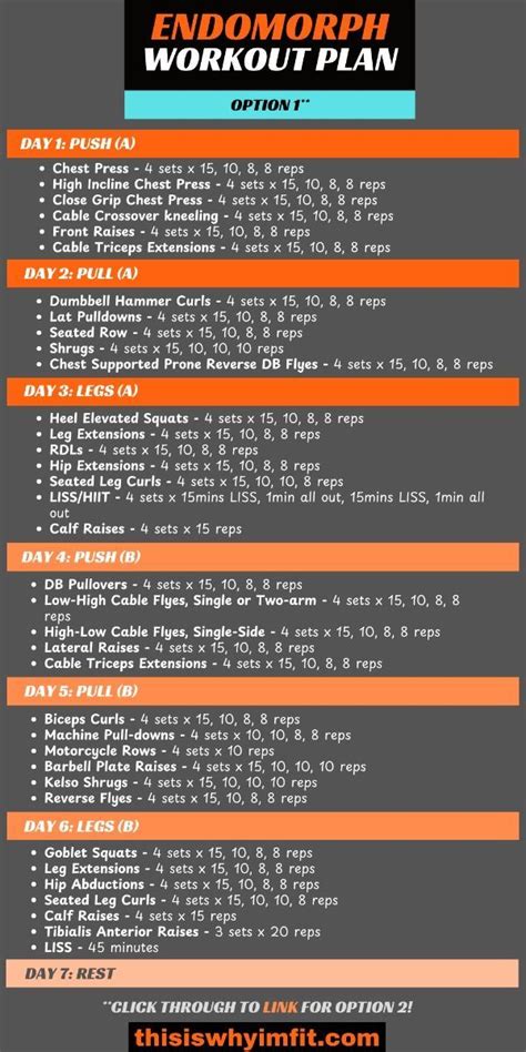 Fitness Plan Endomorph