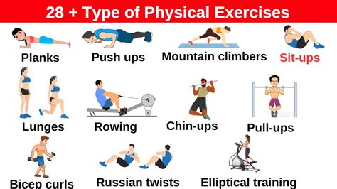 Fitness Routines Types