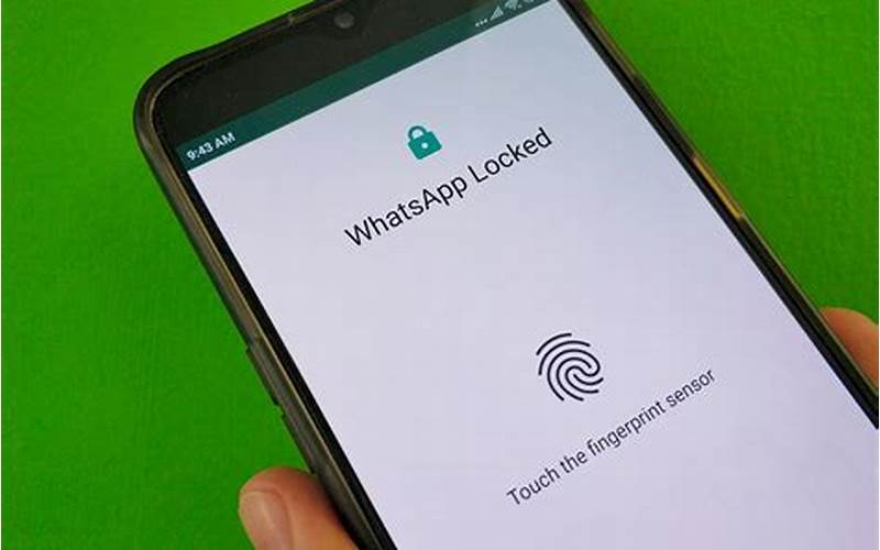 Fitur Privasi Whatsapp