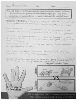 Five Fingers Of Evolution Worksheet