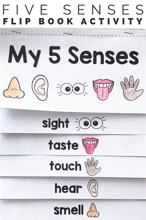 Five Senses Booklet Printable
