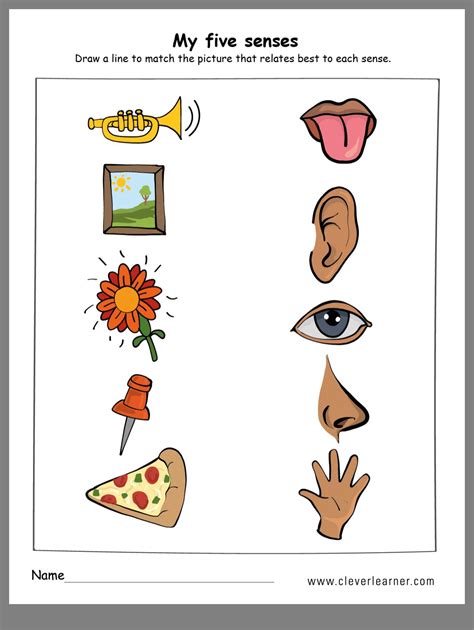 Five Senses Worksheets For Kindergarten