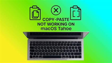 Fix Copy-Paste Not Working on macOS