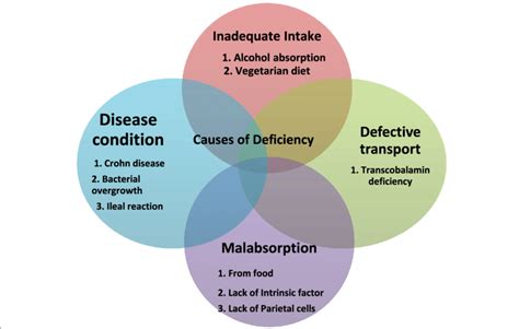 Fix Food Malabsorption: Causes & Solutions