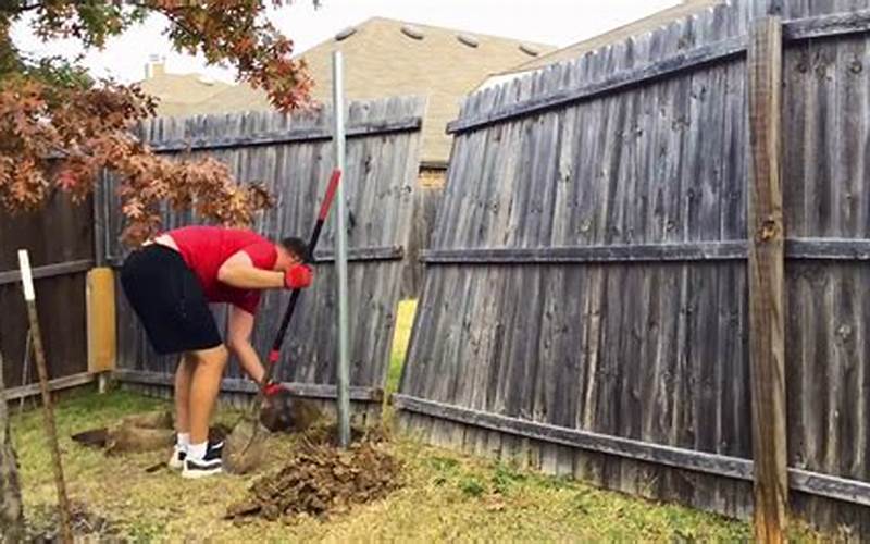 Fixing Rotted Privacy Fence Posts: A Complete Guide