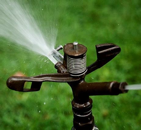 Fixing a Sprinkler Head
