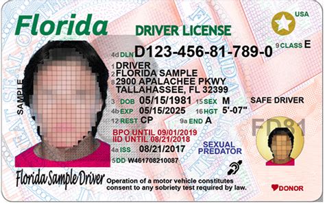 Fl Dmv License Check