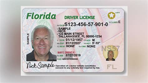 Fl Drivers License