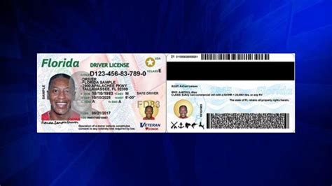 Fl License Check