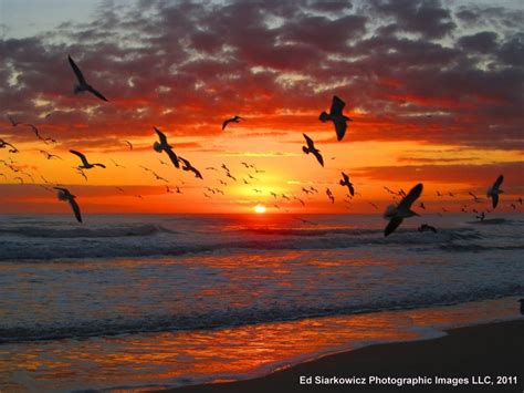 Flagler Beach con atardecer