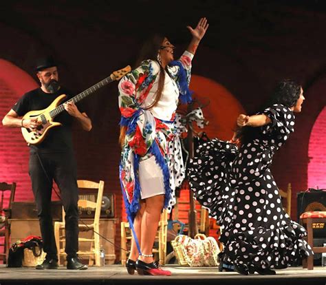 Flamenco Show Packages