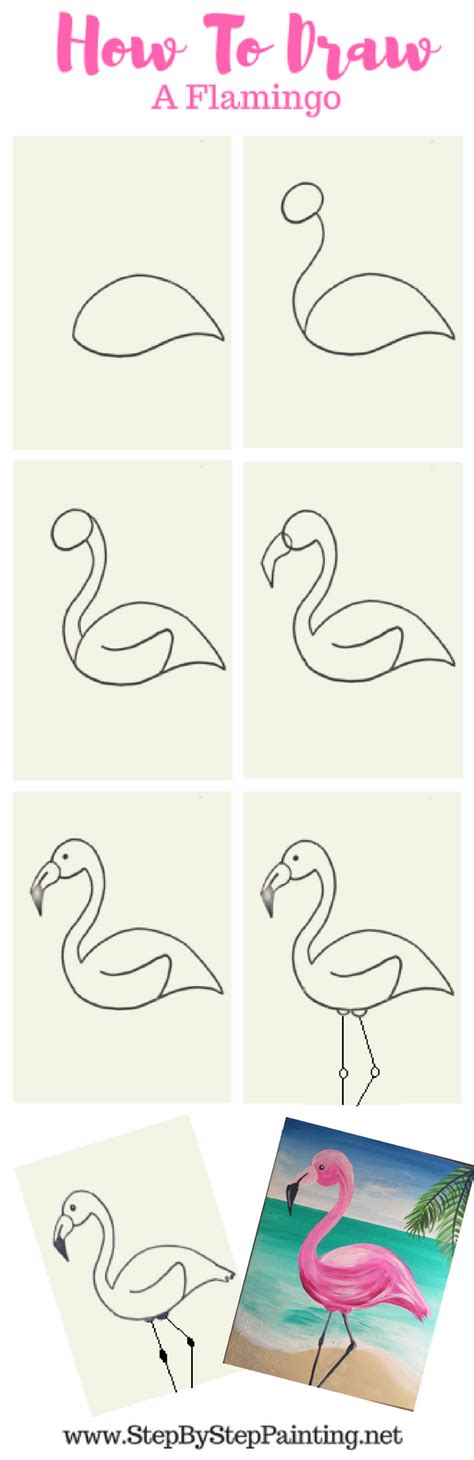Flamingo Beak Drawing Step-by-Step