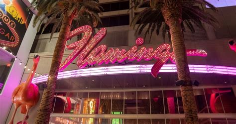 Unique Features of Flamingo Hotel Las Vegas
