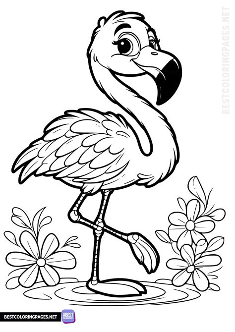 Flamingo Kleurplaat