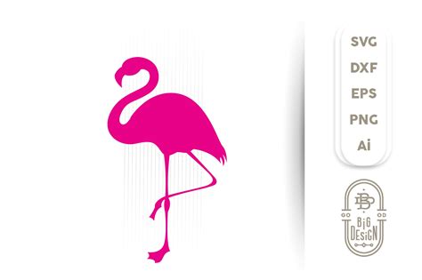 Flamingo Splendor: Unleash Your Creativity with Captivating Flamingo Svg Designs