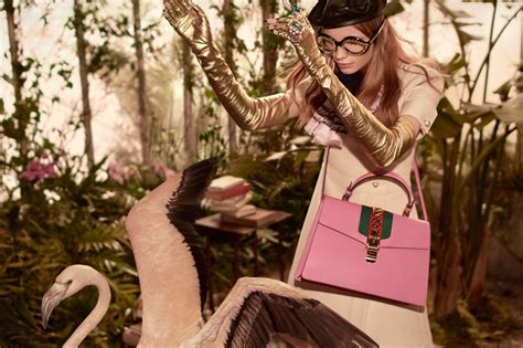 Flamingo and Parrot and Gucci