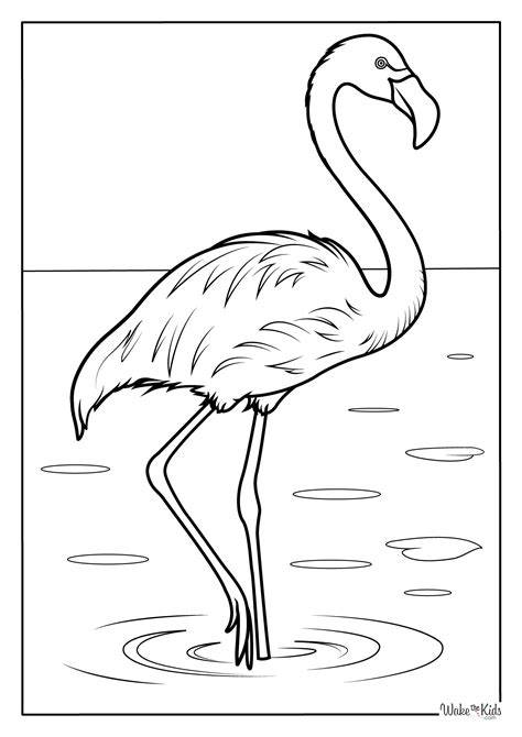 Flamingos Coloring Page