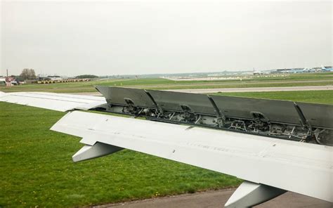 Flap