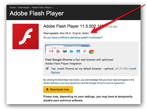 Experience Seamless Video Downloading with our Top-rated Flash Player Video Downloader Software!