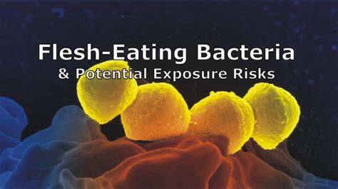 Flesh-Eating Bacteria: Risks & Rapid Treatment