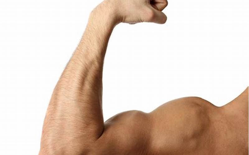 Flexed-Biceps