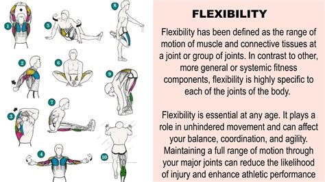 Flexibility Defined