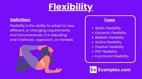 Flexibility Definition