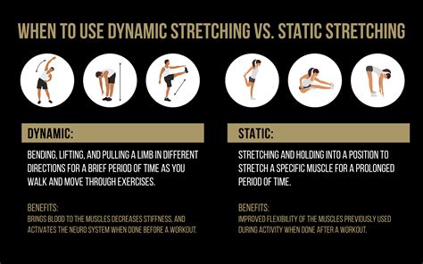 Flexibility Dynamic Stretches Table