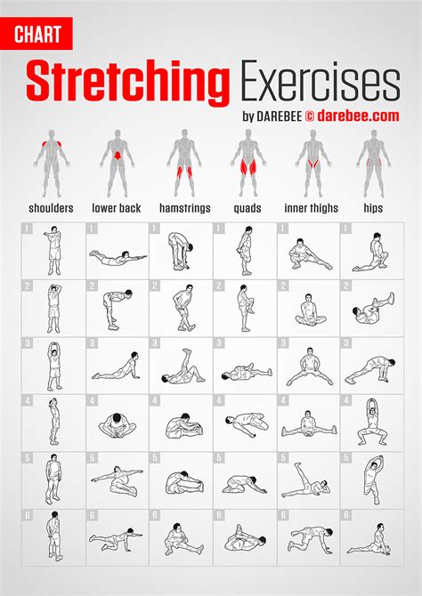 Flexibility Exercise Routine Table