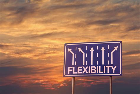 Flexibility in Travel
