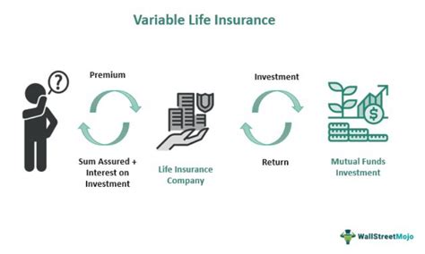 Flexible Premium Variable Life Insurance