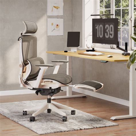 Flexispot C7: Design and Build Quality