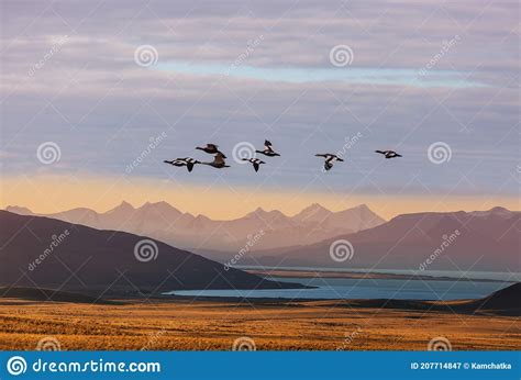 Flight over Patagonia